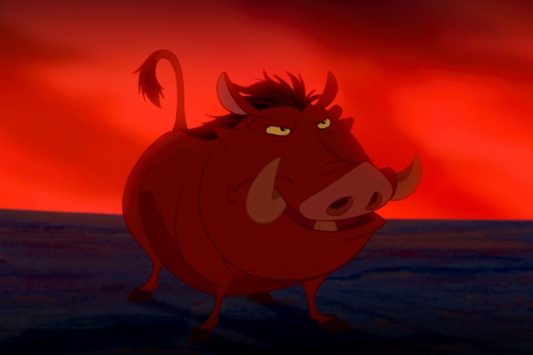 Quiz Εικόνων - Lion king - pumba