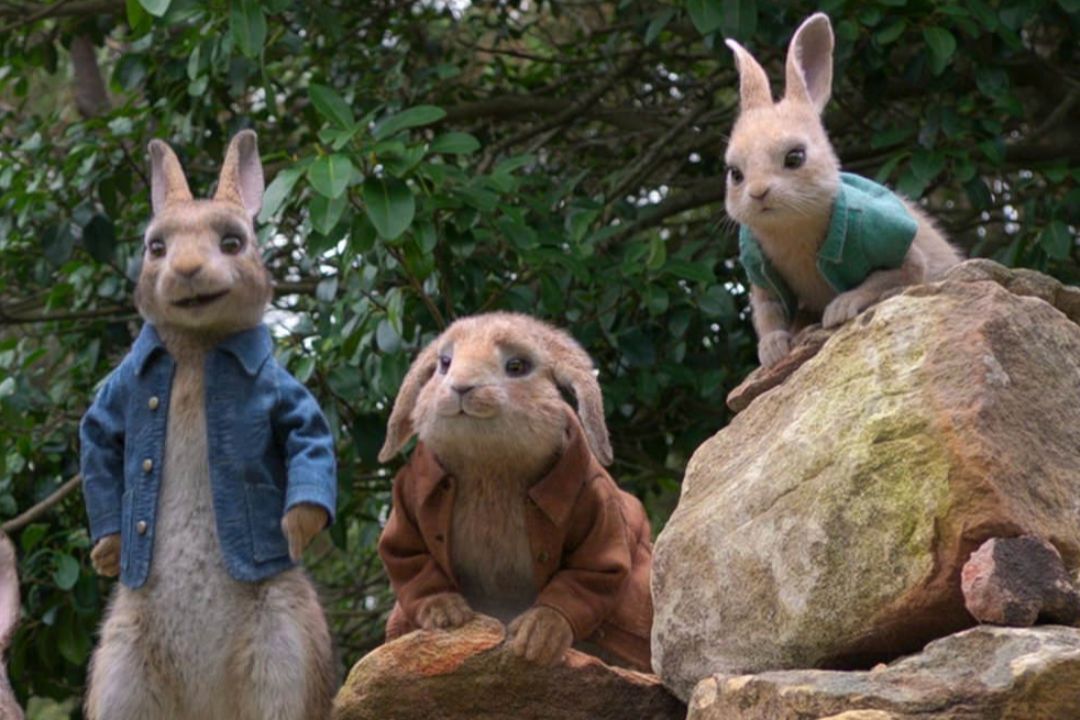 Quiz Εικόνων - peter rabbit - cousin