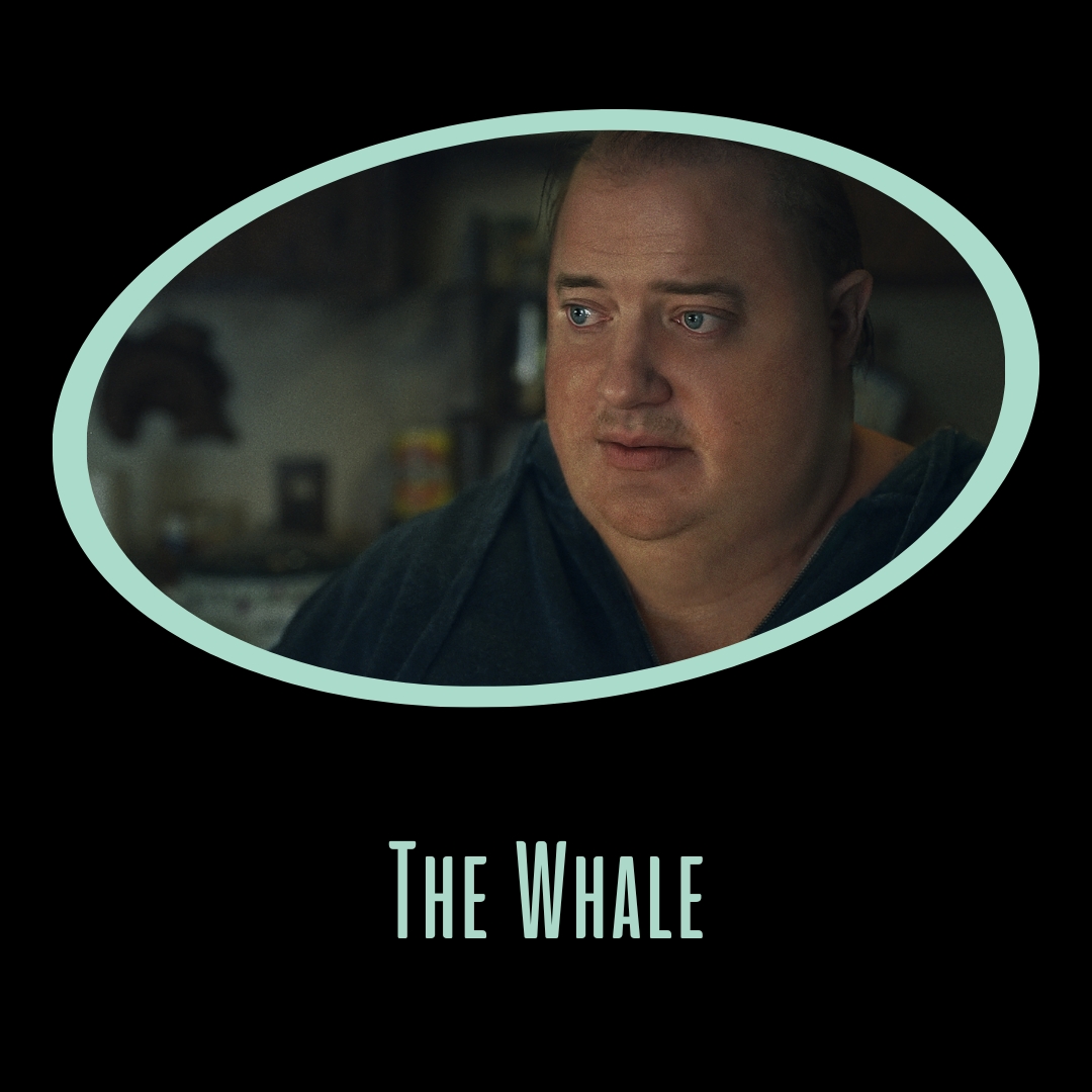 The Whale - Quiz Επιλογής